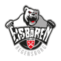 Eisbaeren-Regensburg-Logo